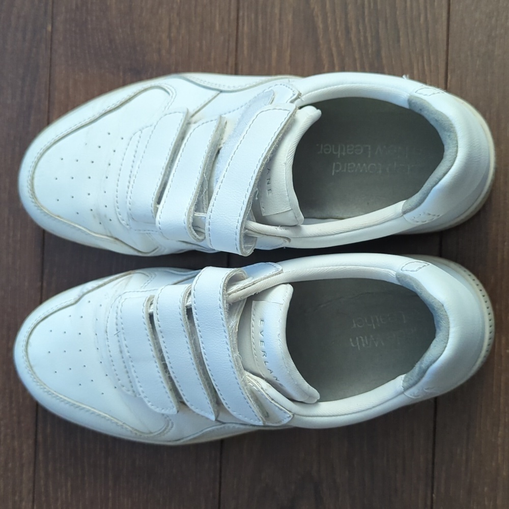 HP. Everlane Leather Sneaker - Picture 6 of 13